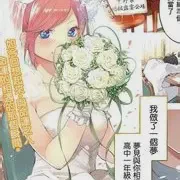 火影忍者漫画全集免费阅读-火影忍者免费在线漫画